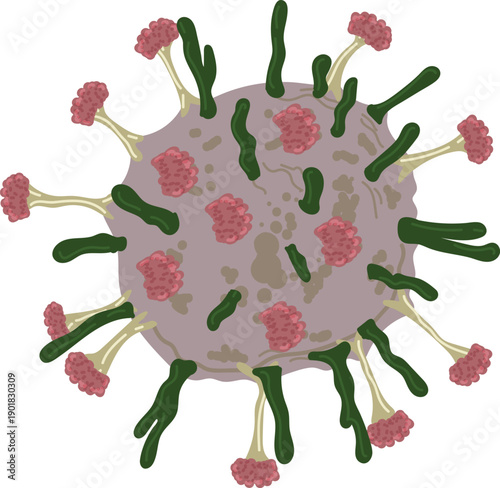 illustration of a nipah virus