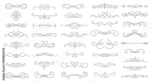 Elegant collection of vintage calligraphic scroll dividers and flourishes for decorative design elements.