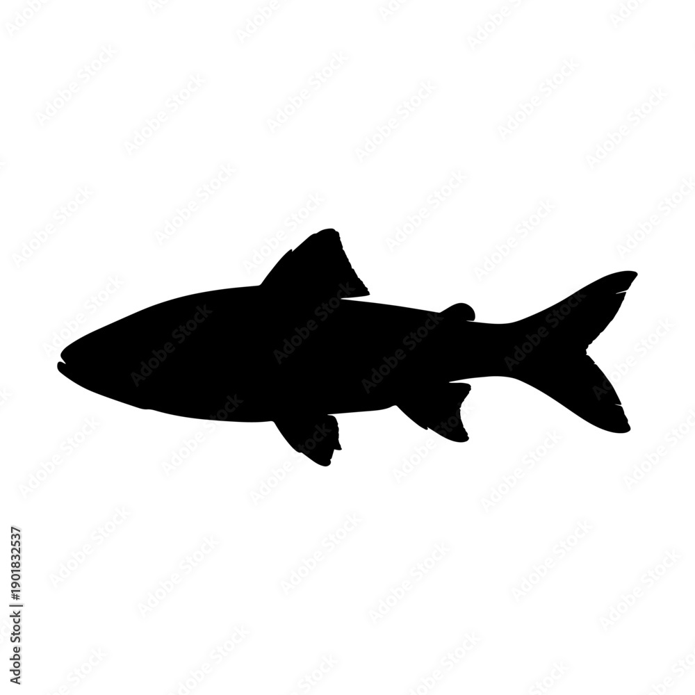 Obraz premium Minimal Fish Icon Black Silhouette Design