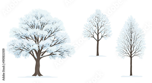 Three bare trees covered in a thick layer of white snow, set against a white background.