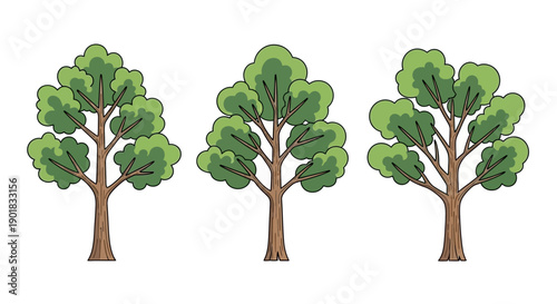 Three stylized cartoon trees with green leafy canopies and brown trunks, isolated on a white background.