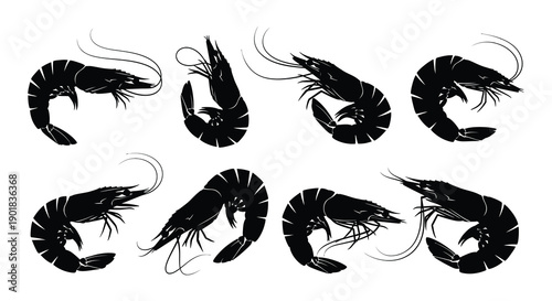 Black silhouette illustrations of several shrimp in various positions