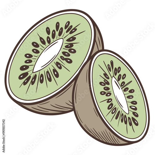 Two halves of a kiwi fruit with its tiny black seeds visible Vector