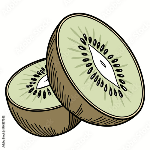 A close-up view of two sliced kiwi fruits on a white background Vector