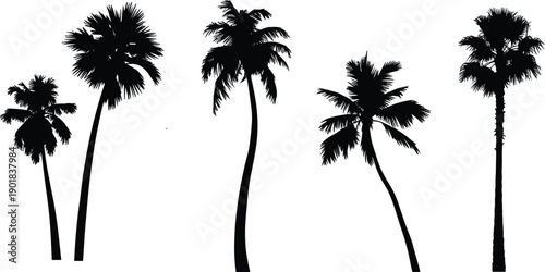 Black silhouette of five distinct palm trees of varying heights and shapes against a stark white background, evoking a tropical atmosphere