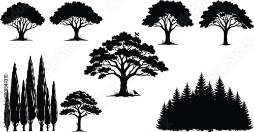 Collection of tree silhouettes featuring oak pine cypress and forest landscapes, black nature icons for environmental design outdoors and park scenery
