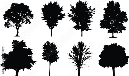 Eight diverse black silhouettes of deciduous trees featuring both full foliage and bare branches
