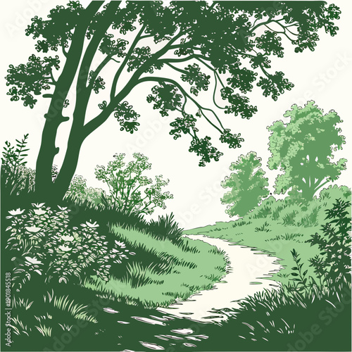 A serene path winding through a lush, green forest with tall trees and dense foliage Vector