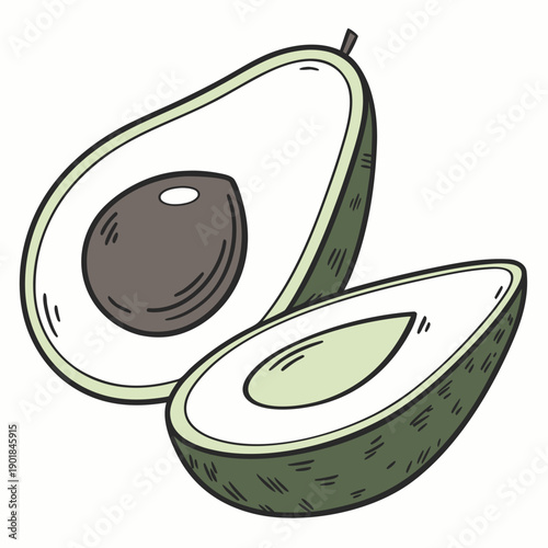 A beautifully illustrated image of a halved avocado showcasing its creamy interior Vector