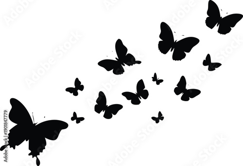 Many black butterfly silhouettes in various sizes soar dynamically on a clean white background in an upward direction