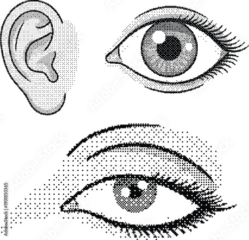 A stylized human eye illustration with vibrant colors and modern design