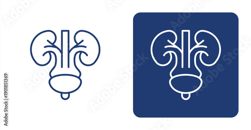 Urology icon, with contrast background.