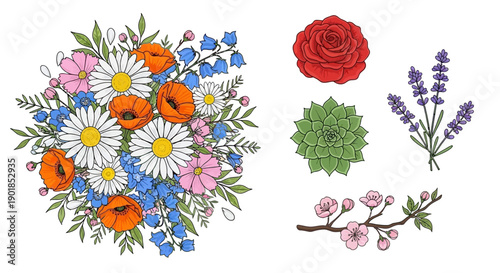 Vector floral bouquet with daisies, poppies, bluebells, and separate rose, lavender, succulent, cherry blossom elements isolated on white