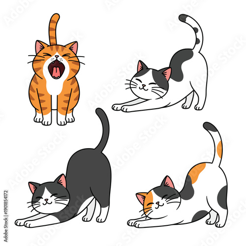 Cats Stretching and Arching