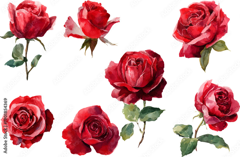 Fototapeta premium set of red roses