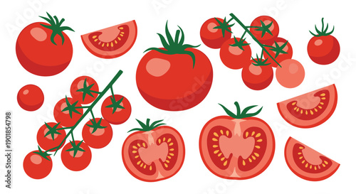 Collection of different tomato types featuring cherry tomatoes on vines, sliced tomatoes, and whole ripe fruits for food illustration needs.