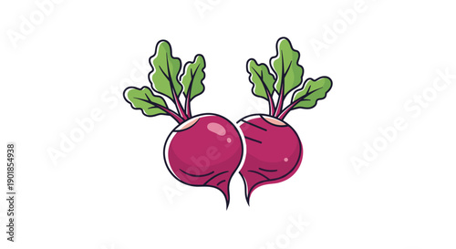 Pair of fresh purple radishes with vibrant green leaves shown together in a clean and simple illustrated style on white.