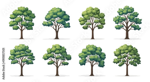 A collection of eight distinct illustrations of deciduous trees with lush green foliage and sturdy brown trunks, presented against a clean white background.