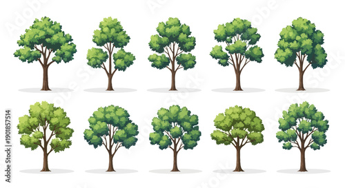 A collection of ten diverse, vibrant green deciduous trees with detailed foliage and sturdy trunks, presented against a clean white background.