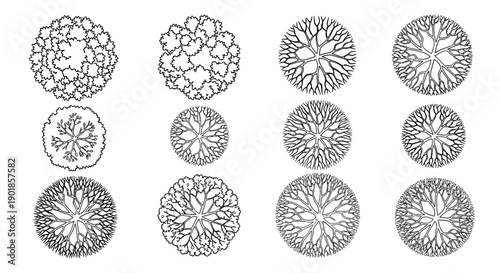 Collection of detailed top-down view illustrations of various tree types, showcasing distinct foliage and branching patterns for architectural and landscape design.