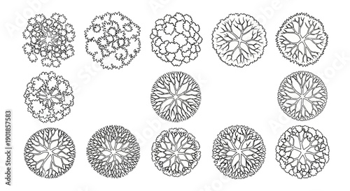 Collection of detailed top-down architectural drawings of various deciduous trees, showcasing intricate branch and leaf patterns.