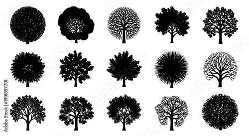A collection of black silhouette illustrations of various deciduous trees, showcasing diverse shapes and foliage patterns.
