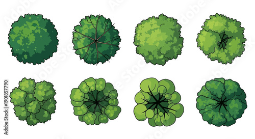 A collection of eight distinct illustrations of trees viewed from directly above, showcasing varied shapes and textures of their canopies.