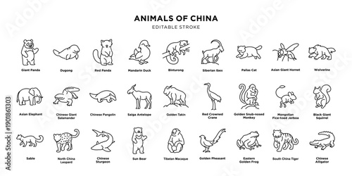 Animals of China - Line Drawings Collection