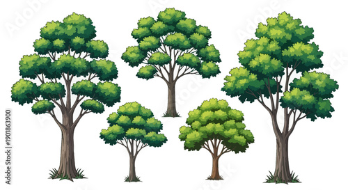 A collection of five lush green trees with detailed trunks and dense foliage, set against a white background.