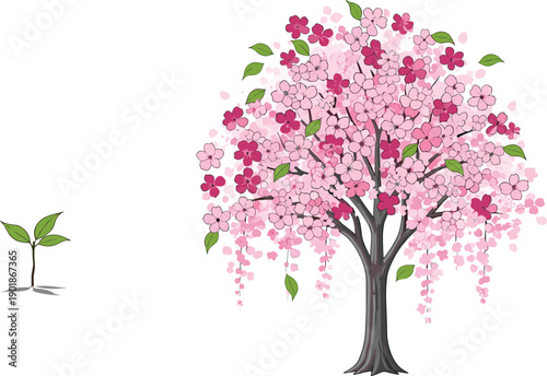 Pink cherry blossom tree illustration with young plant growth stages, spring nature vector isolated design