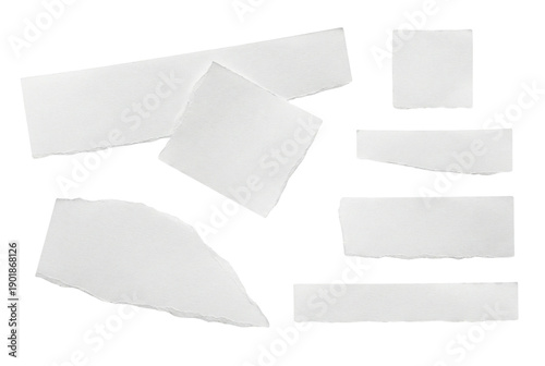 Wallpaper Mural Collection of white torn paper strips and rough edge scraps for collage or label design on light gray background Torontodigital.ca