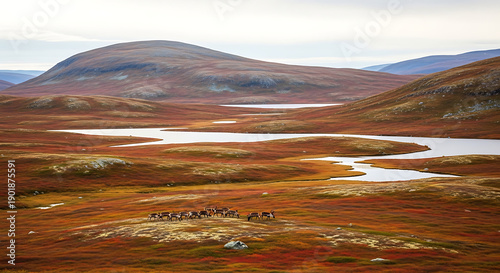 Aerial shot of Rondane National Park old mountains wild reindeer and autumn colors