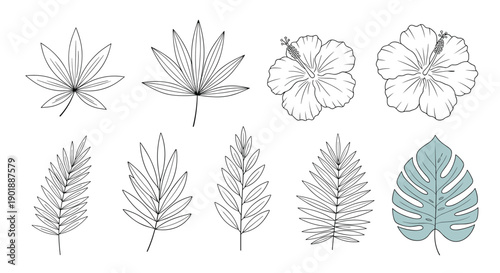 A collection of hand-drawn tropical leaves and hibiscus flowers in a detailed line art style, including a colored monstera leaf.