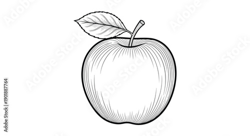 A classic black and white illustration of a whole apple with a single leaf, depicted in a detailed vintage woodcut or engraved style.