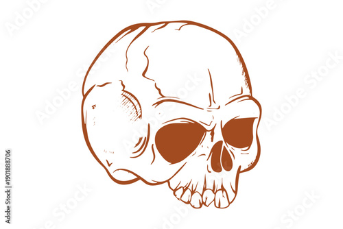 Mystic and celestial clipart illustration of a human skull with a red outline