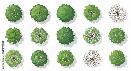 A collection of top-down illustrations of various trees, showcasing different foliage textures and branch structures.
