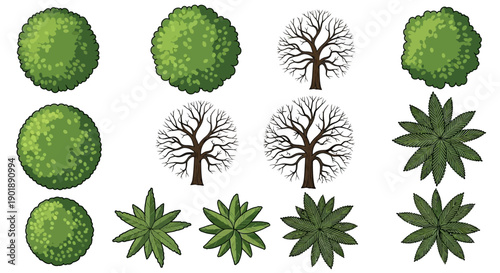 A collection of top-down illustrations of various trees and plants, including deciduous trees without leaves and lush green bushes.