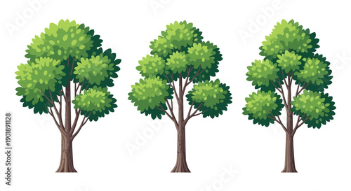 Three stylized green trees with full canopies and brown trunks, isolated on a white background.