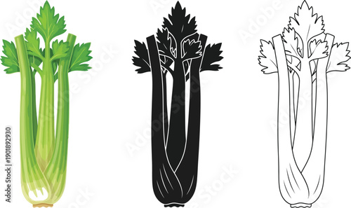 A bundle of crisp green celery stalks with leafy tops is shown in three distinct graphical formats: full color, solid black,.