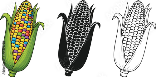 Colorful and monochrome corn illustrations are presented in three distinct graphic styles for versatile design use.