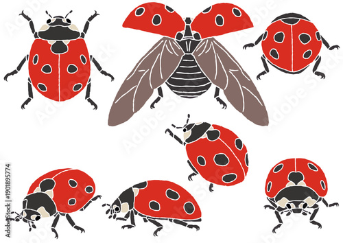 てんとう虫7種　版画