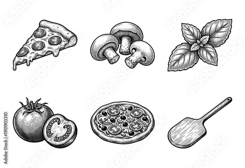 Italian pizza ingredients and kitchen tools collection featuring hand drawn engraving style illustrations of pepperoni slice mushrooms basil tomatoes and peel