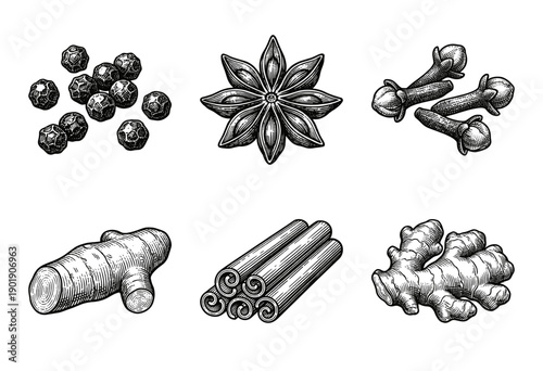 Vintage engraving style collection of aromatic spices featuring peppercorns star anise cloves turmeric cinnamon and ginger root