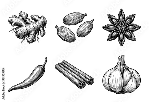 Collection of hand drawn vintage spice and aromatic herb illustrations including ginger, cardamom, star anise, chili pepper, cinnamon sticks, and garlic clove.