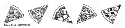 Set of five various pizza slices in a detailed hand drawn vintage engraving style featuring diverse toppings and textures.