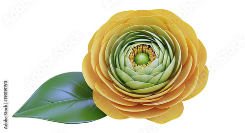 Yellow and Green Ranunculus Flower with Leaf