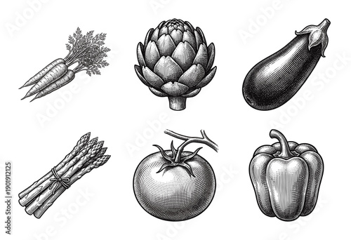 Collection of hand drawn vegetable illustrations in vintage engraving style featuring carrots artichoke eggplant asparagus tomato and bell pepper