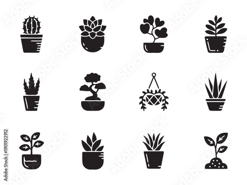 Variety of potted houseplants and succulents, including cacti and hanging plants, for indoor decoration and botanical collections