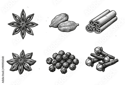 Vintage engraving of assorted culinary spices including star anise cardamom cinnamon peppercorns and cloves on a white background.