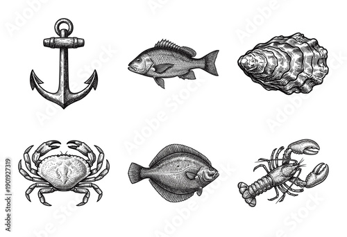 Set of vintage maritime and seafood illustrations in woodcut engraving style featuring fish shellfish and nautical anchor